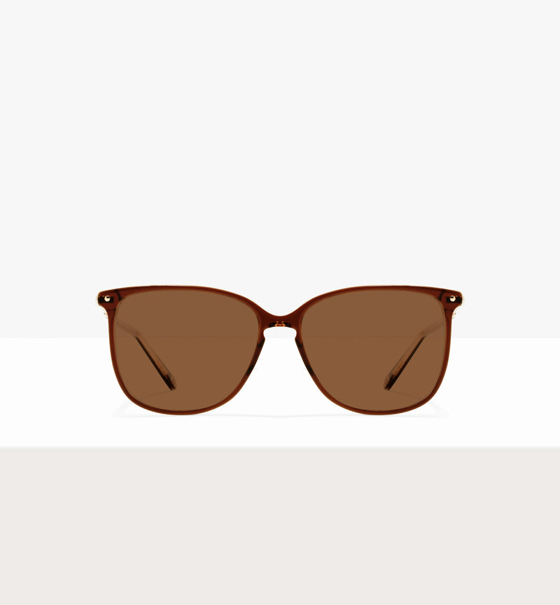 Espresso--front_image_sun