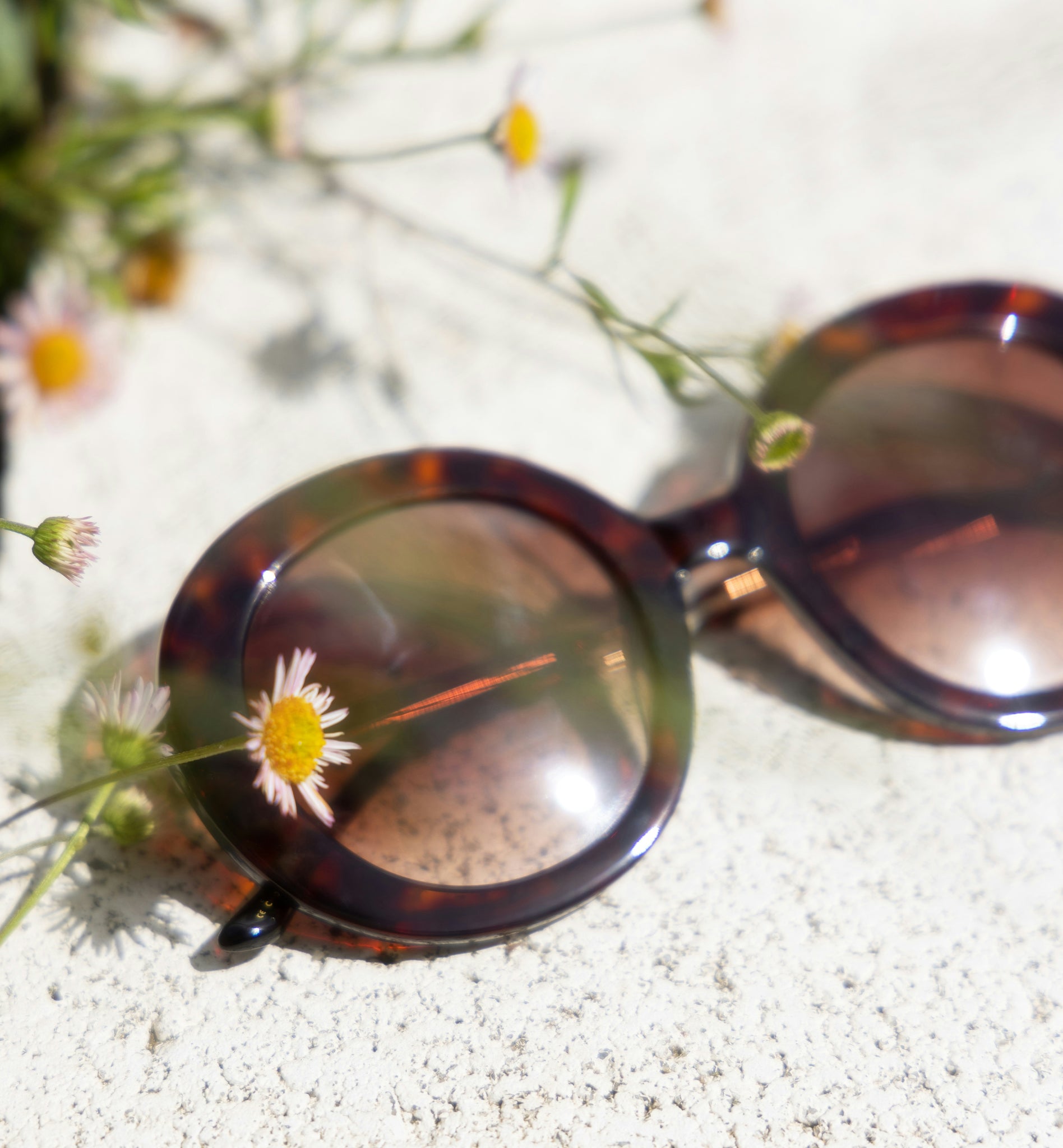 Abuzz Tortoise - Prescription Sunglasses by BonLook