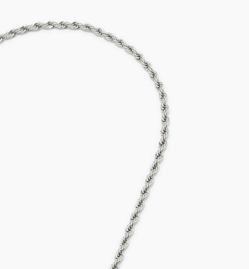 Silver--angled_image