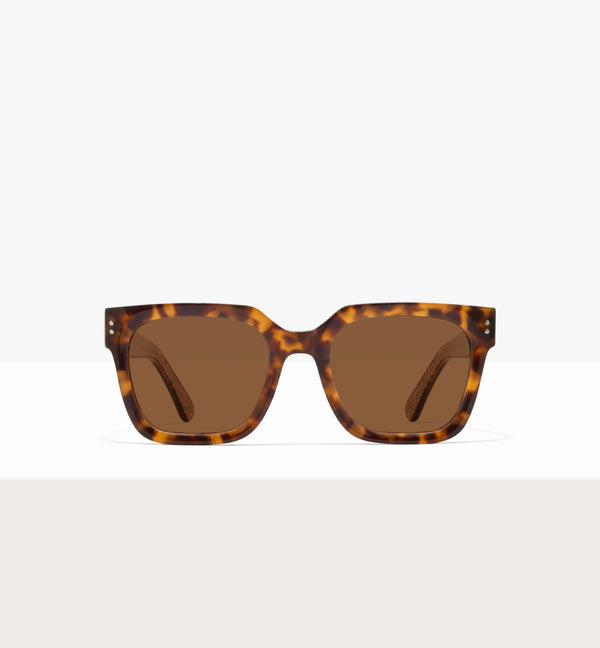 Copper Tort--front_image_sun