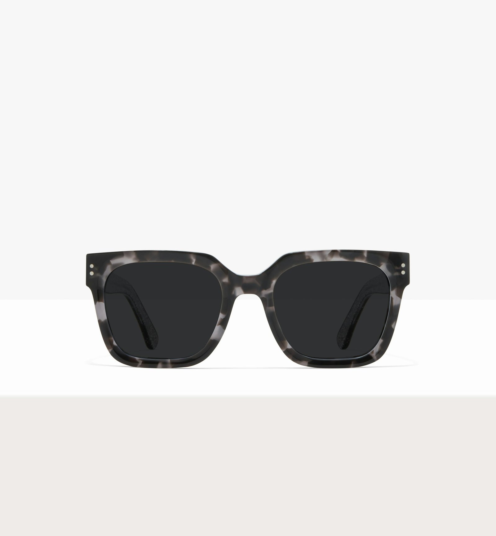Grey Tort--front_image_sun
