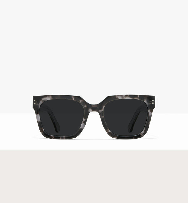 Grey Tort--front_image_sun
