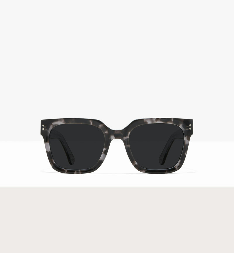 Grey Tort--front_image_sun