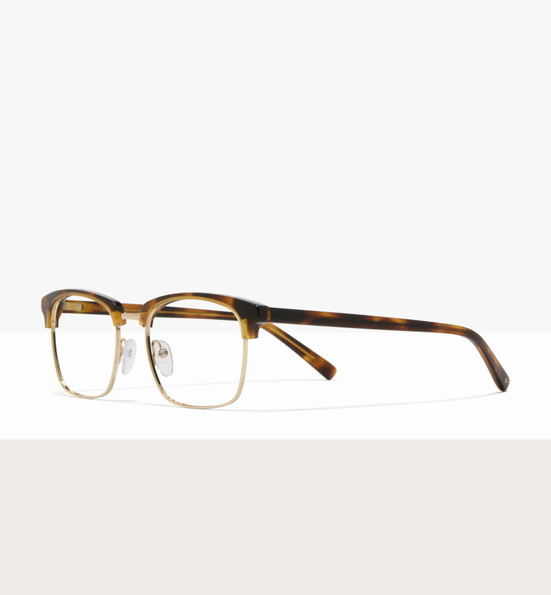 Brown Tort--angled_image