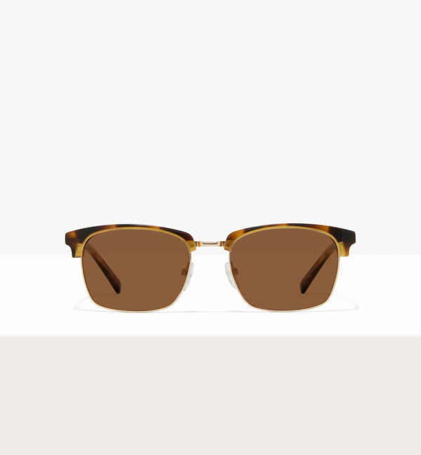 Brown Tort--front_image_sun