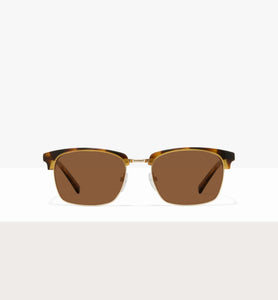 Brown Tort--front_image_sun