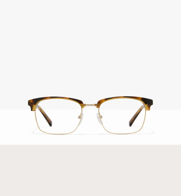 Brown Tort--front_image