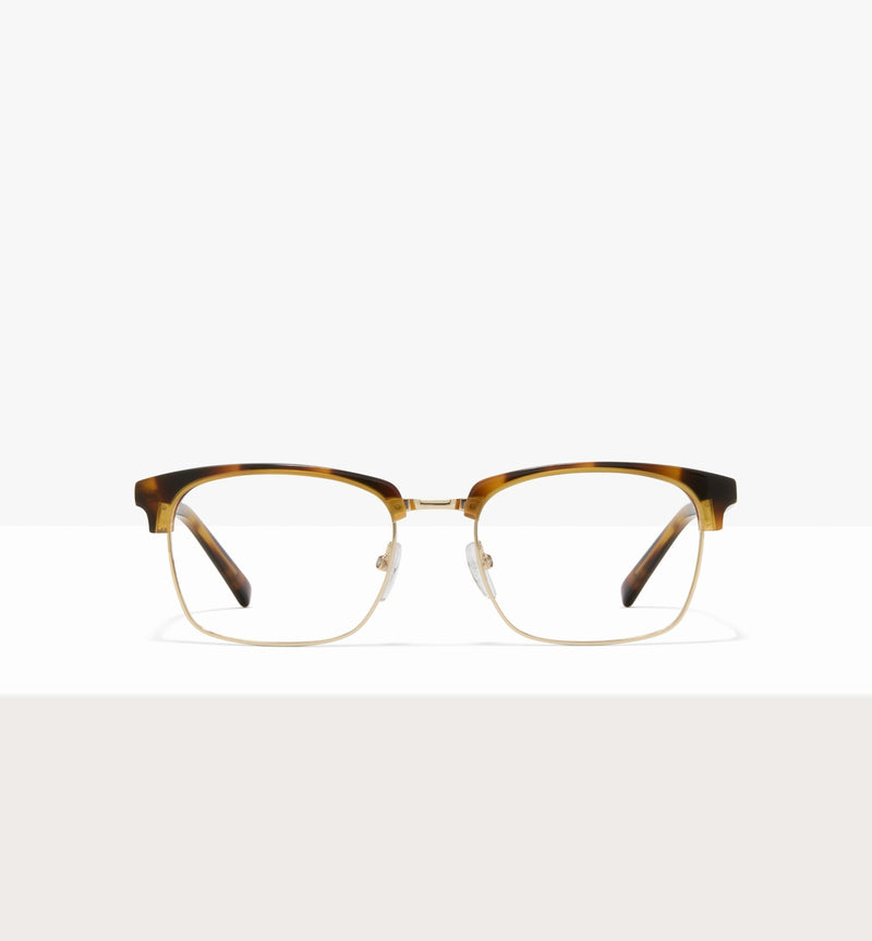 Brown Tort--front_image