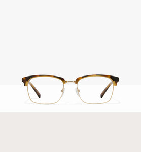 Brown Tort--front_image