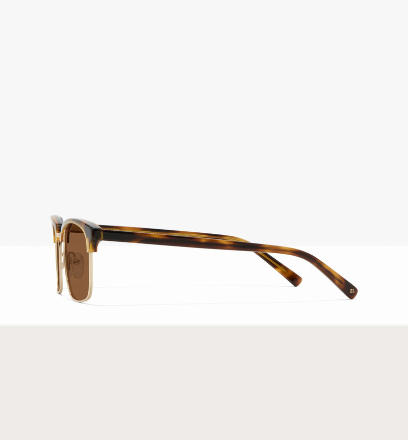 Brown Tort--side_image_sun