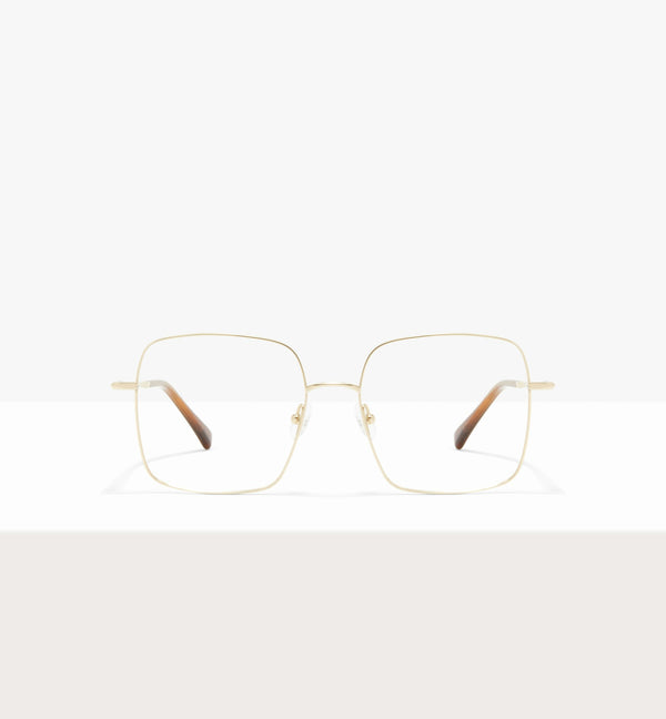 Gold--front_image