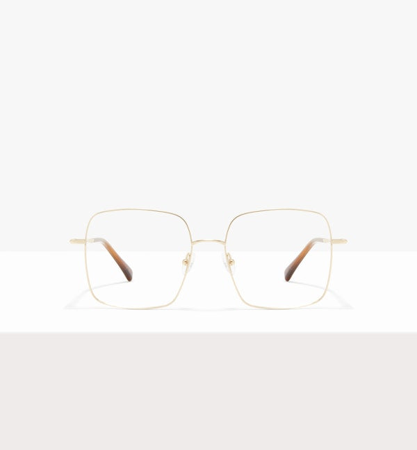 GOLD--front_image
