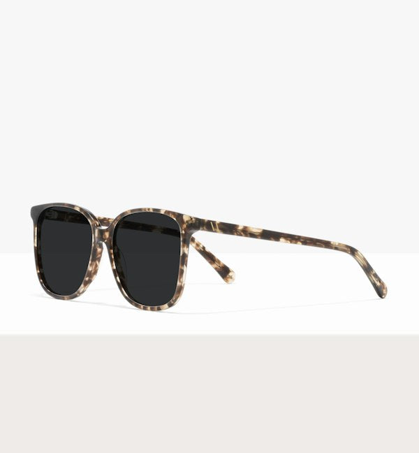 Leopard--angled_image_sun