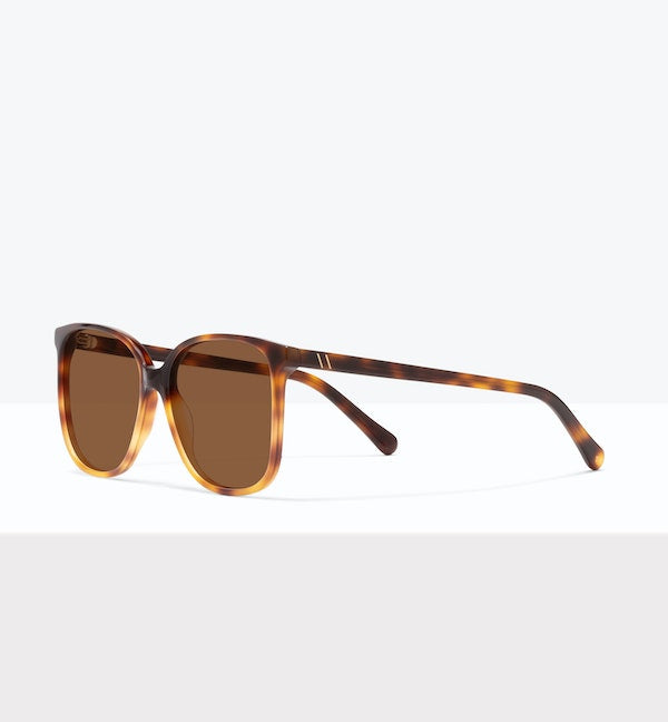 Pecan Tort--angled_image_sun
