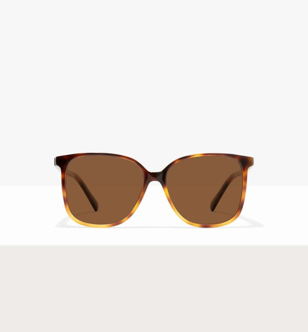 Pecan Tort--front_image_sun