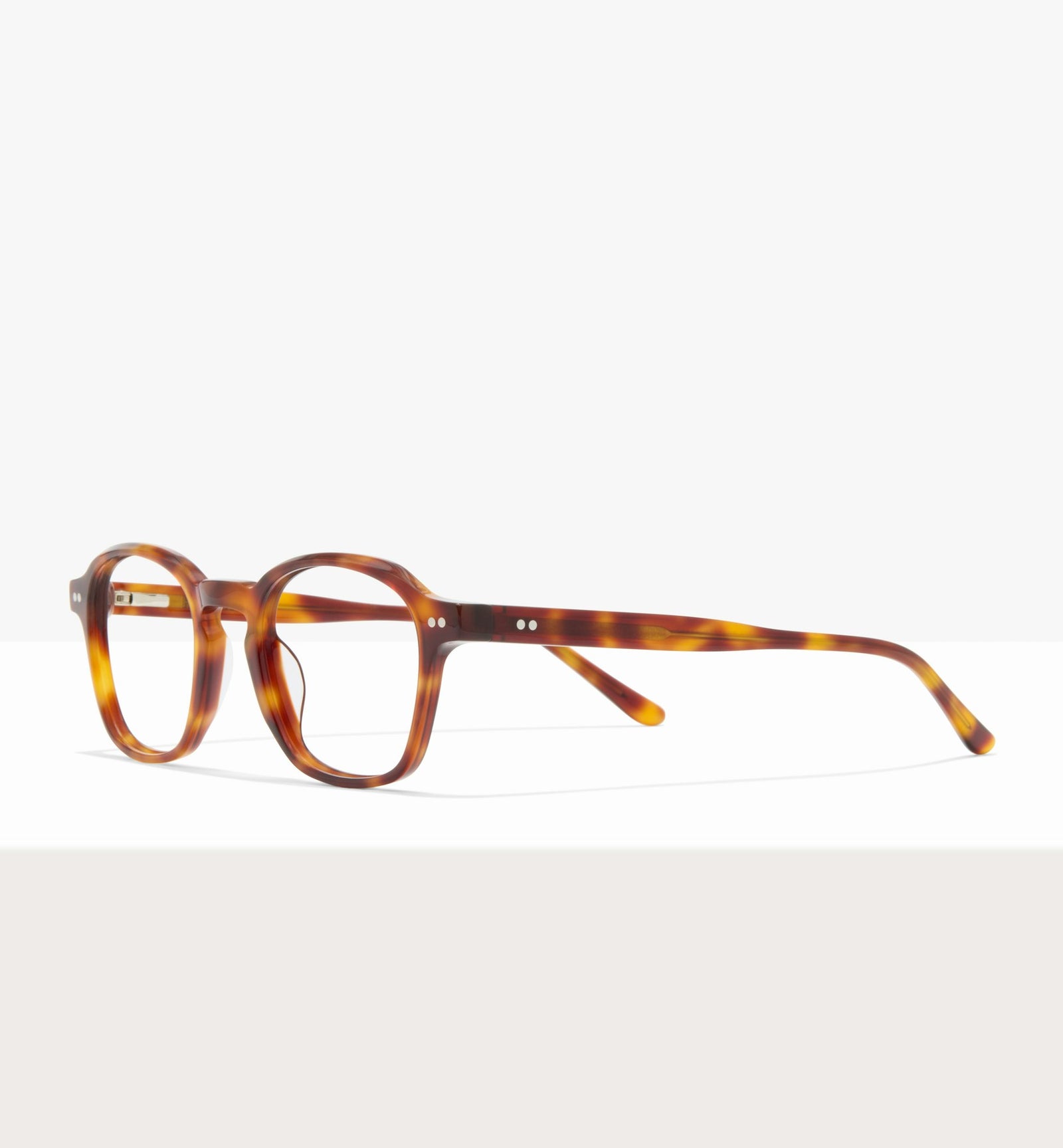 Brown Tort--angled_image