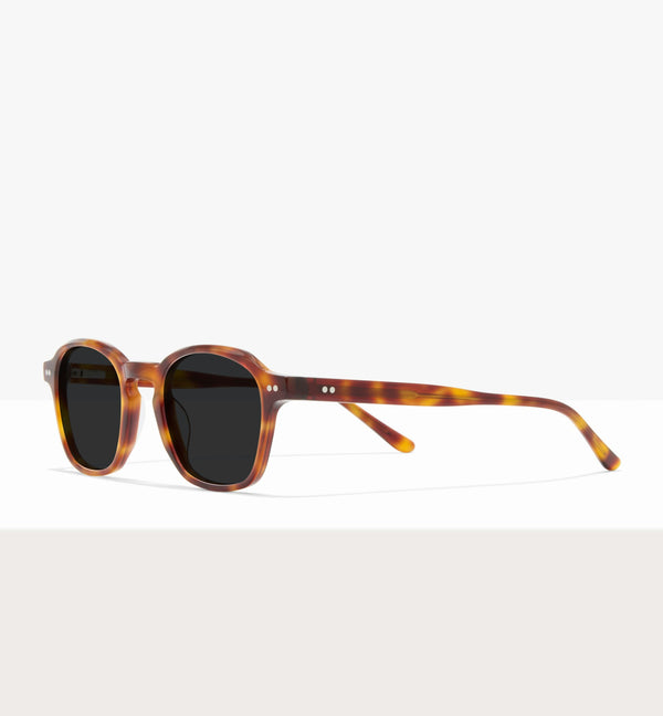 Brown Tort--angled_image_sun