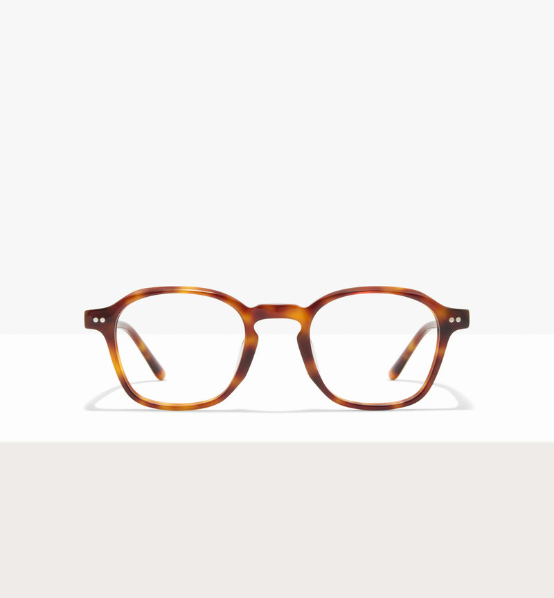 Brown Tort--front_image