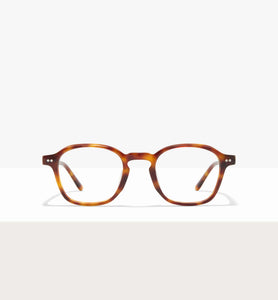 Brown Tort--front_image