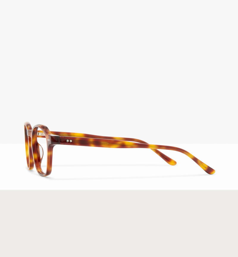 Brown Tort--side_image