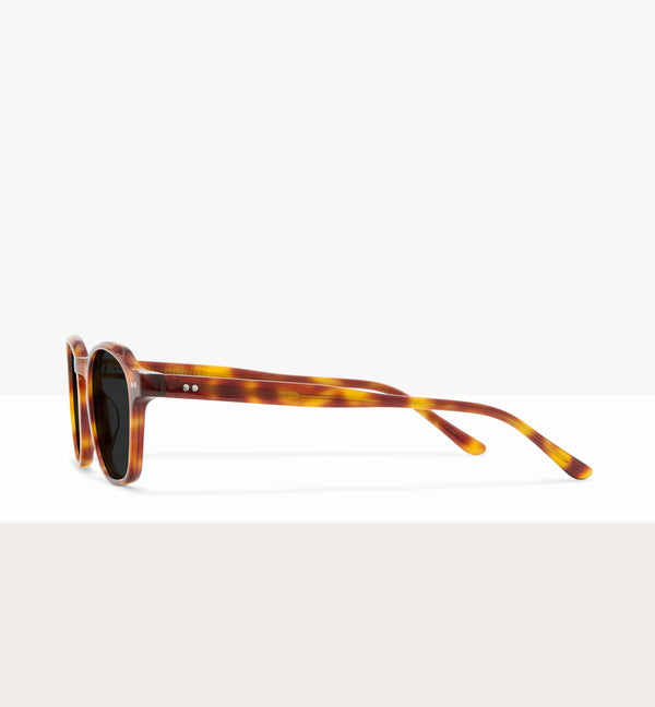 Brown Tort--side_image_sun