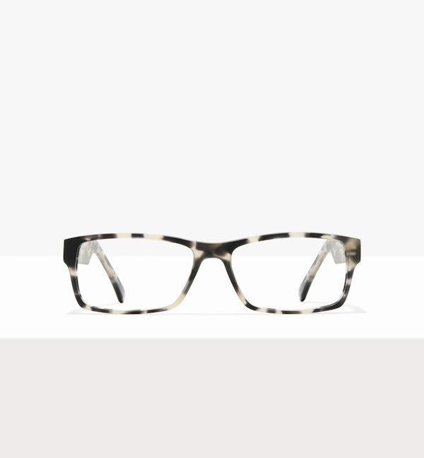Grey Tort--front_image