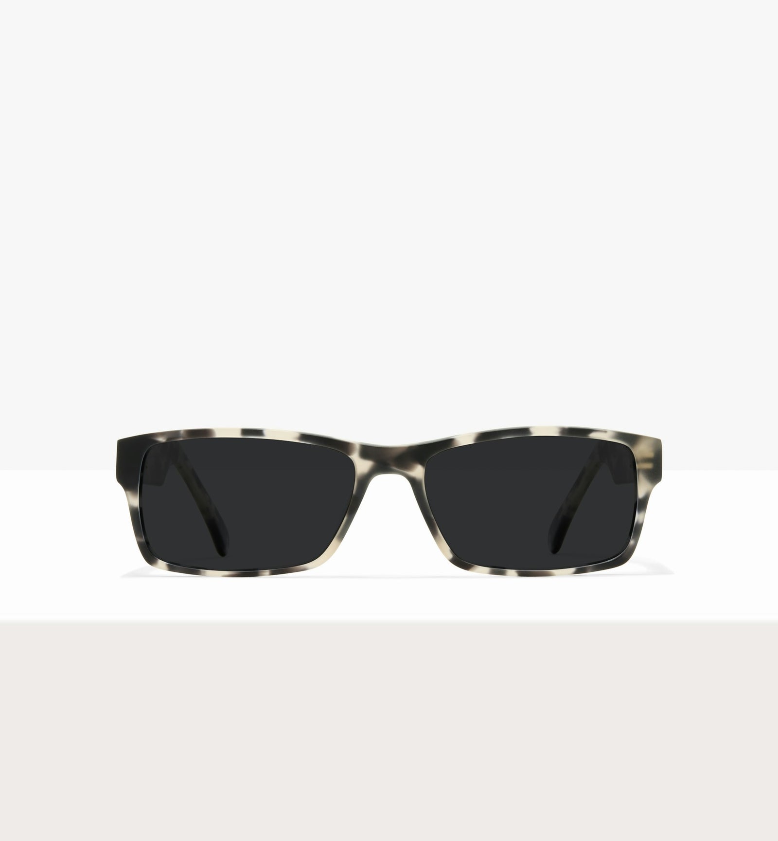 Grey Tort--front_image_sun