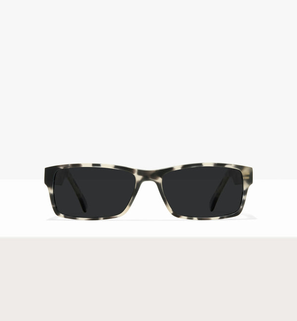 Grey Tort--front_image_sun