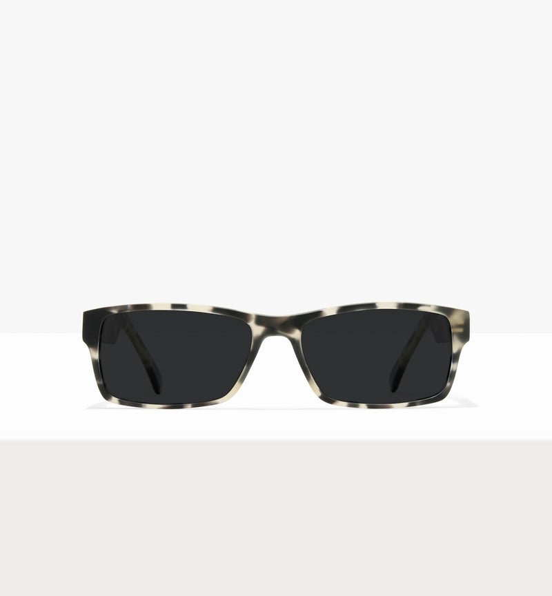 Grey Tort--front_image_sun