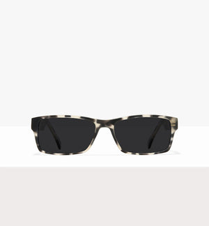 Grey Tort--front_image_sun