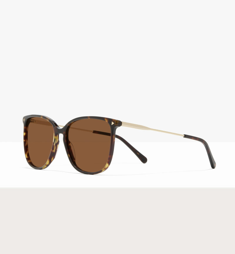 Dark Brown Tort--angled_image_sun