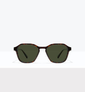 Tortoise--front_image_sun