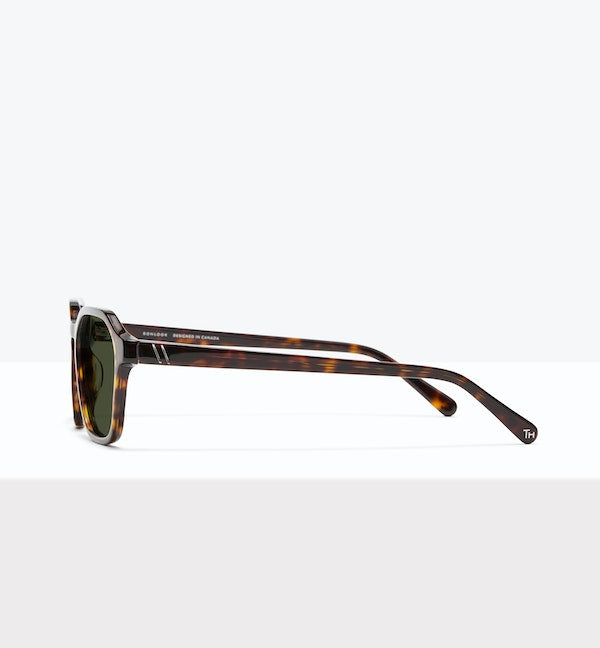 Tortoise--side_image_sun