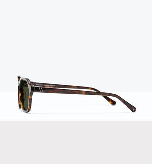 Tortoise--side_image_sun