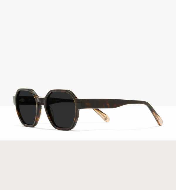 Hickory--angled_image_sun