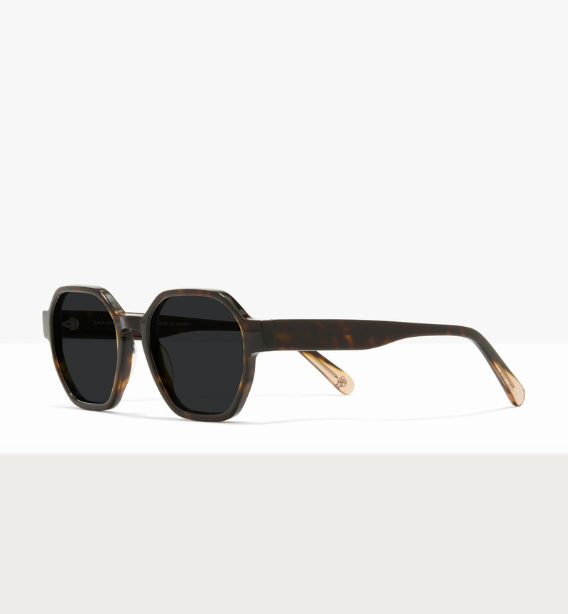 Hickory--angled_image_sun
