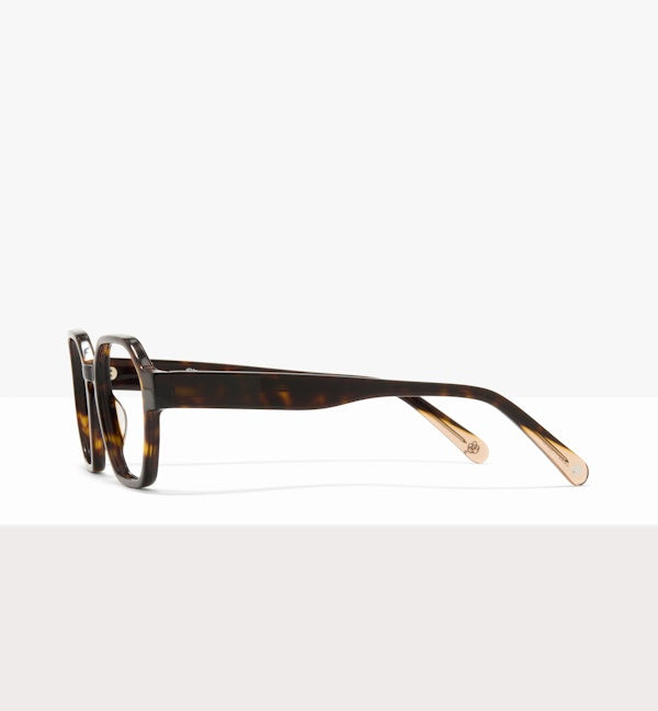 Hickory--side_image