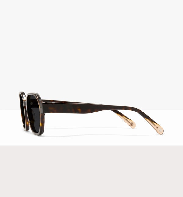 Hickory--side_image_sun