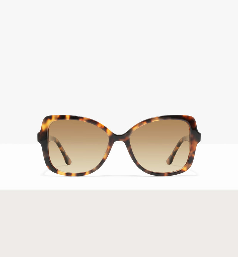 Laguna Tort--front_image_sun