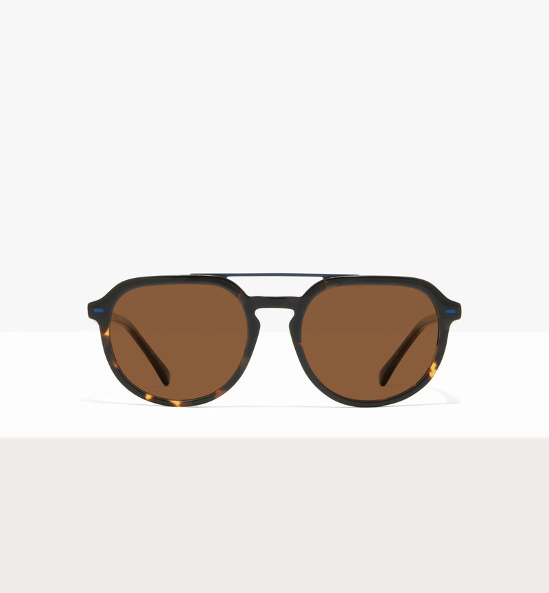 Dark Brown Tort--front_image_sun