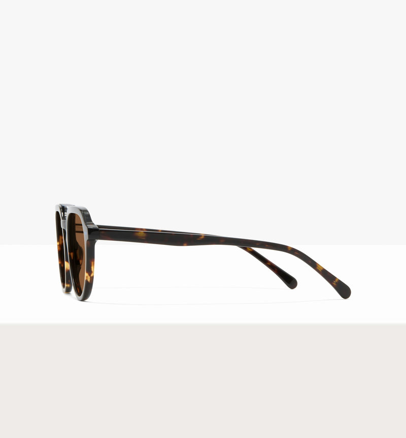 Dark Brown Tort--side_image_sun