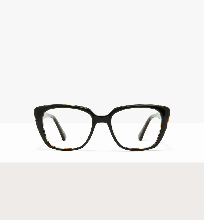 Black Tort Layer--front_image