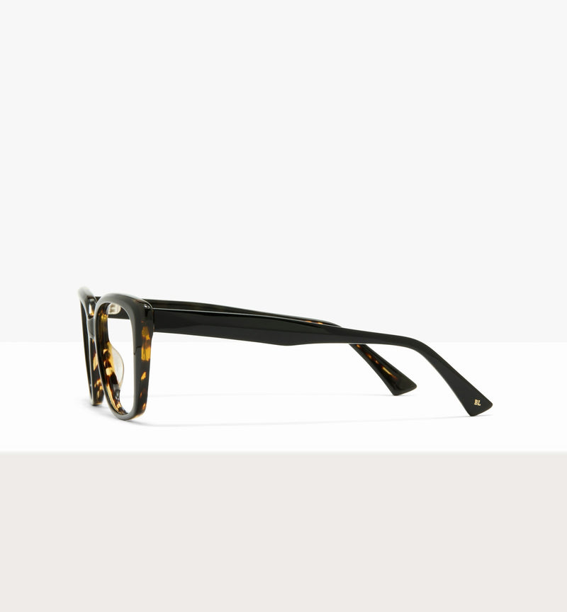 Black Tort Layer--side_image