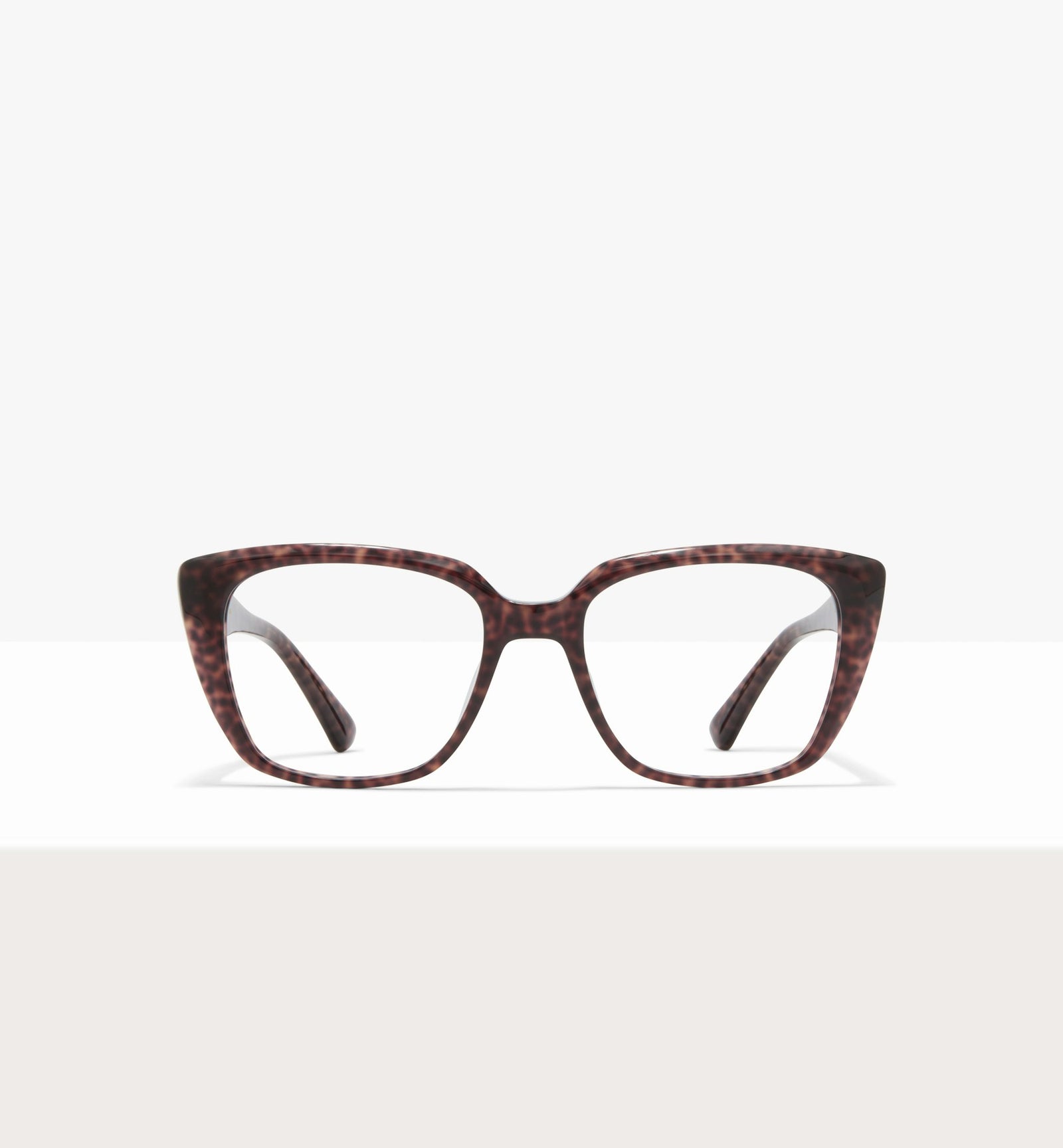 Brown Tort--front_image