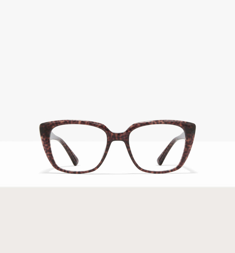 Brown Tort--front_image