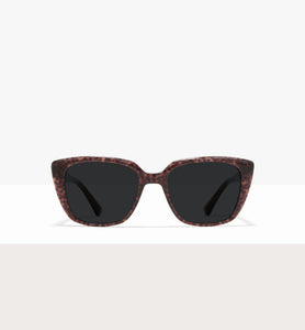 Brown Tort--front_image_sun