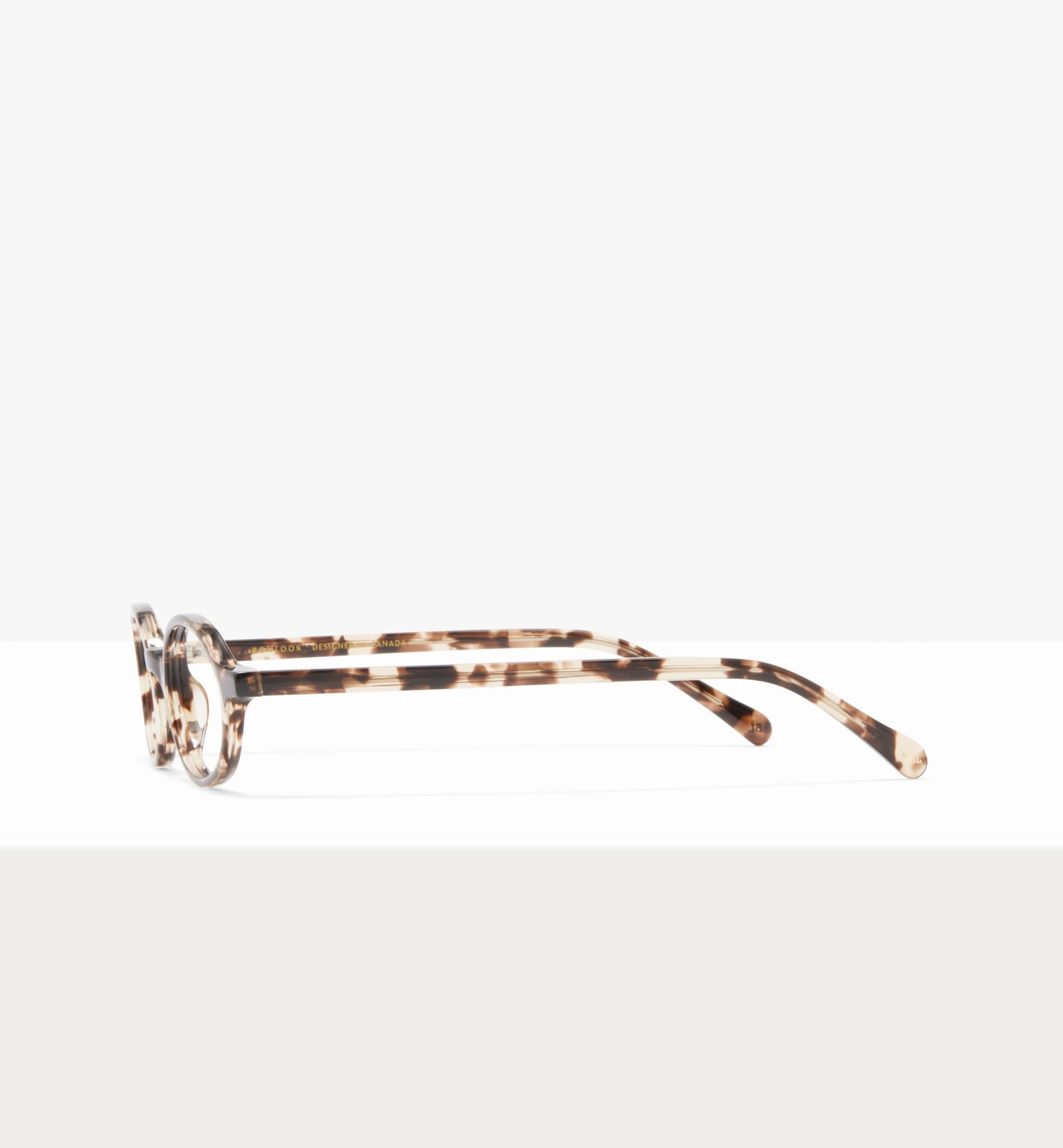 Leopard--side_image