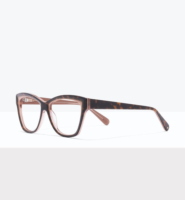Tort Apricot--angled_image