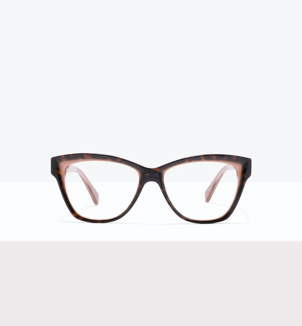 Tort Apricot--front_image