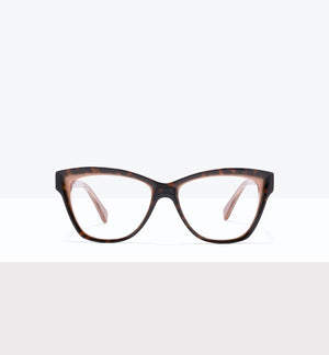 Tort Apricot--front_image